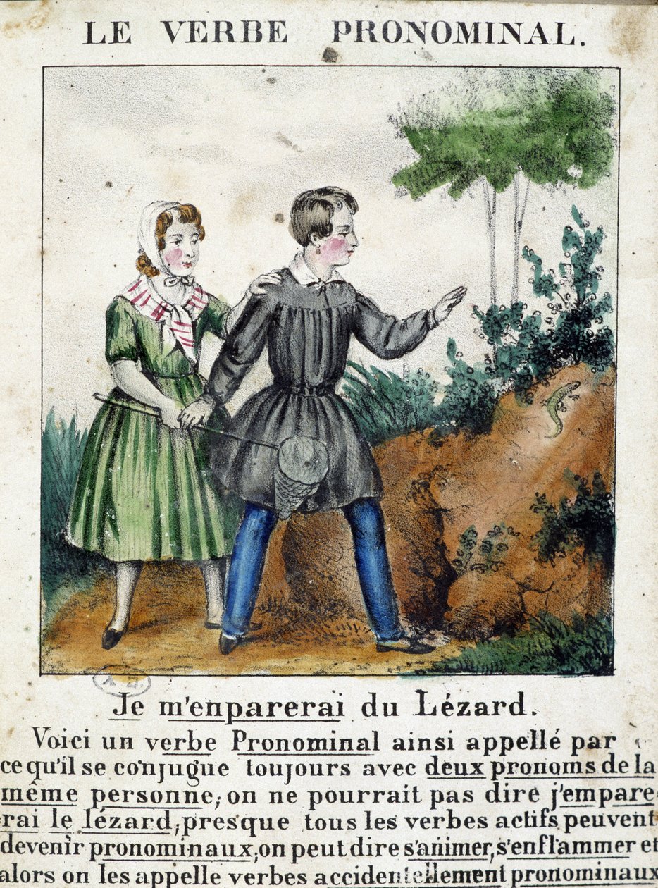 Les op pronominale werkwoorden. In 