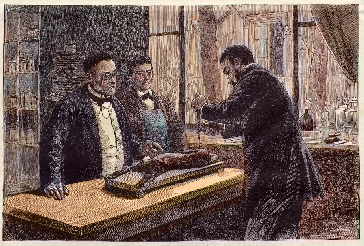 Louis Pasteur (1822-1895), Franse chemicus en microbioloog, experimenteert op een chloroformkonijn tijdens zijn zoektocht naar een remedie tegen hondsdolheid door French School
