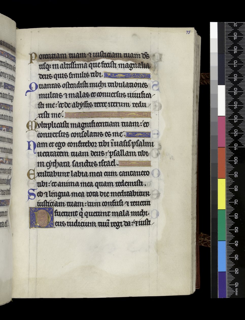 Uit de Psalter en Uren van Isabella van Frankrijk door French School