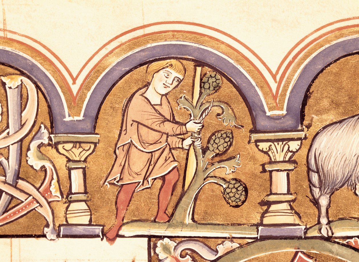 Maart: Bomen enten, uit de Psalter van St. Elizabeth door French School