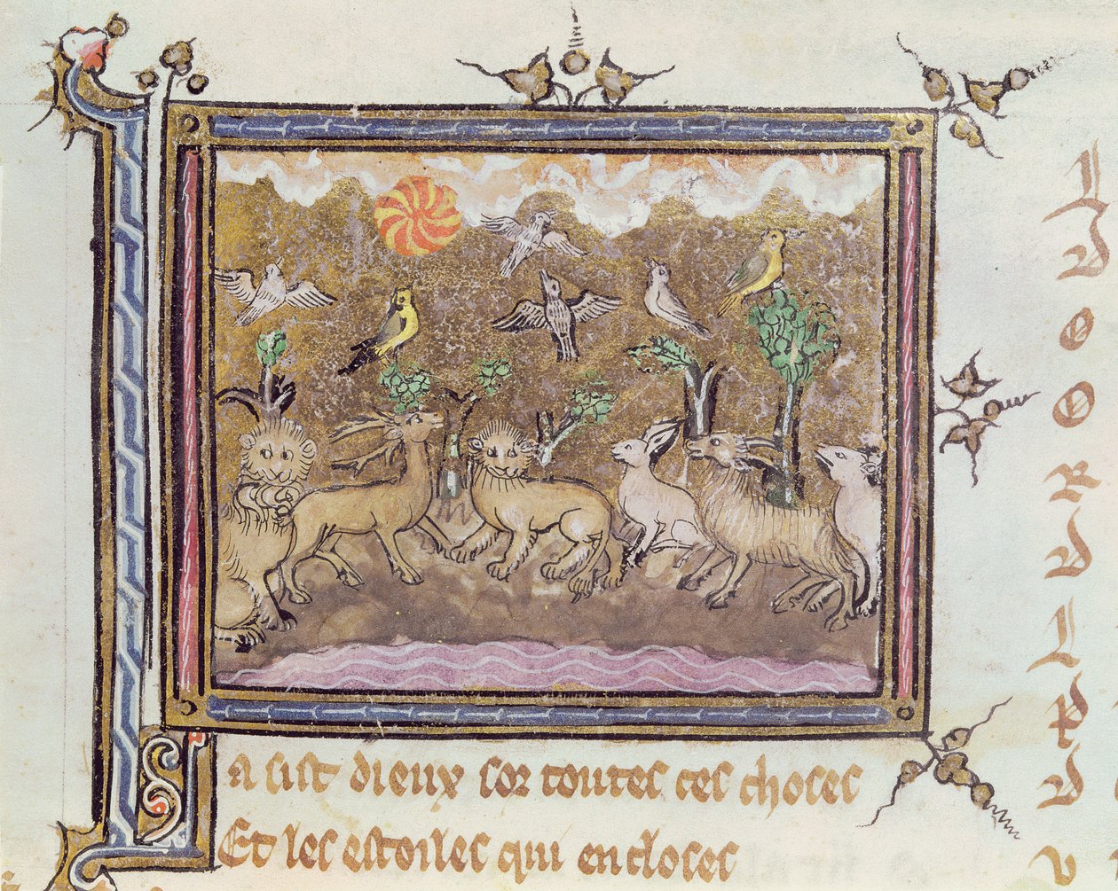 Ms 1044 fol.18 De Schepping van de Dieren, uit Ovide Moralise geschreven door Chretien Legouais door French School
