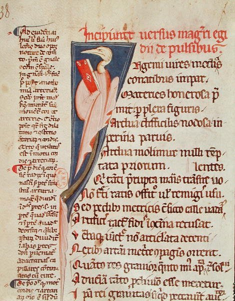Ms 2046 fol.438 Een vogel die een boek vasthoudt door Gilles de Corbeil (1165-1222) uit 