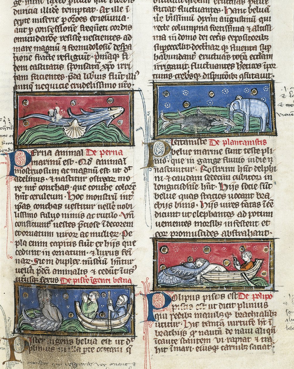 Ms 320 Fol.116 Zeemonsters, uit 