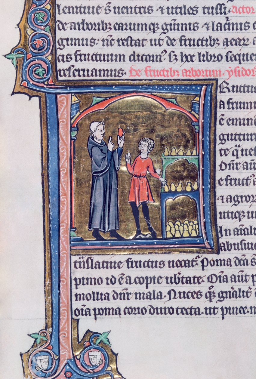 Ms 426 fol.135 Het beste manier om peren te bewaren, uit Le Miroir de la Nature door Vincent de Beauvais door French School