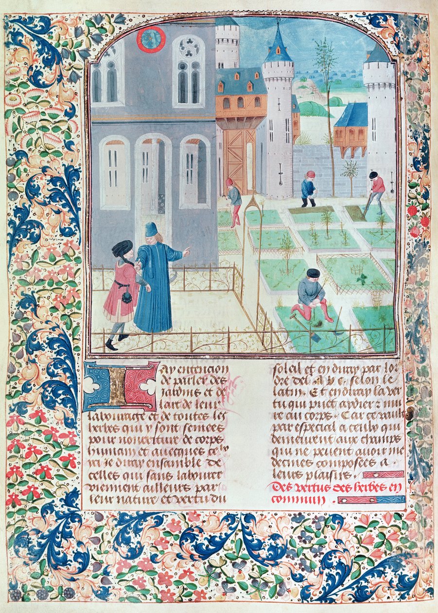 Ms 5064 f.151v De tuin, illustratie uit Le Livre des Prouffitz Champestres door Pietro de Crescenzi (1230-132021) door French School