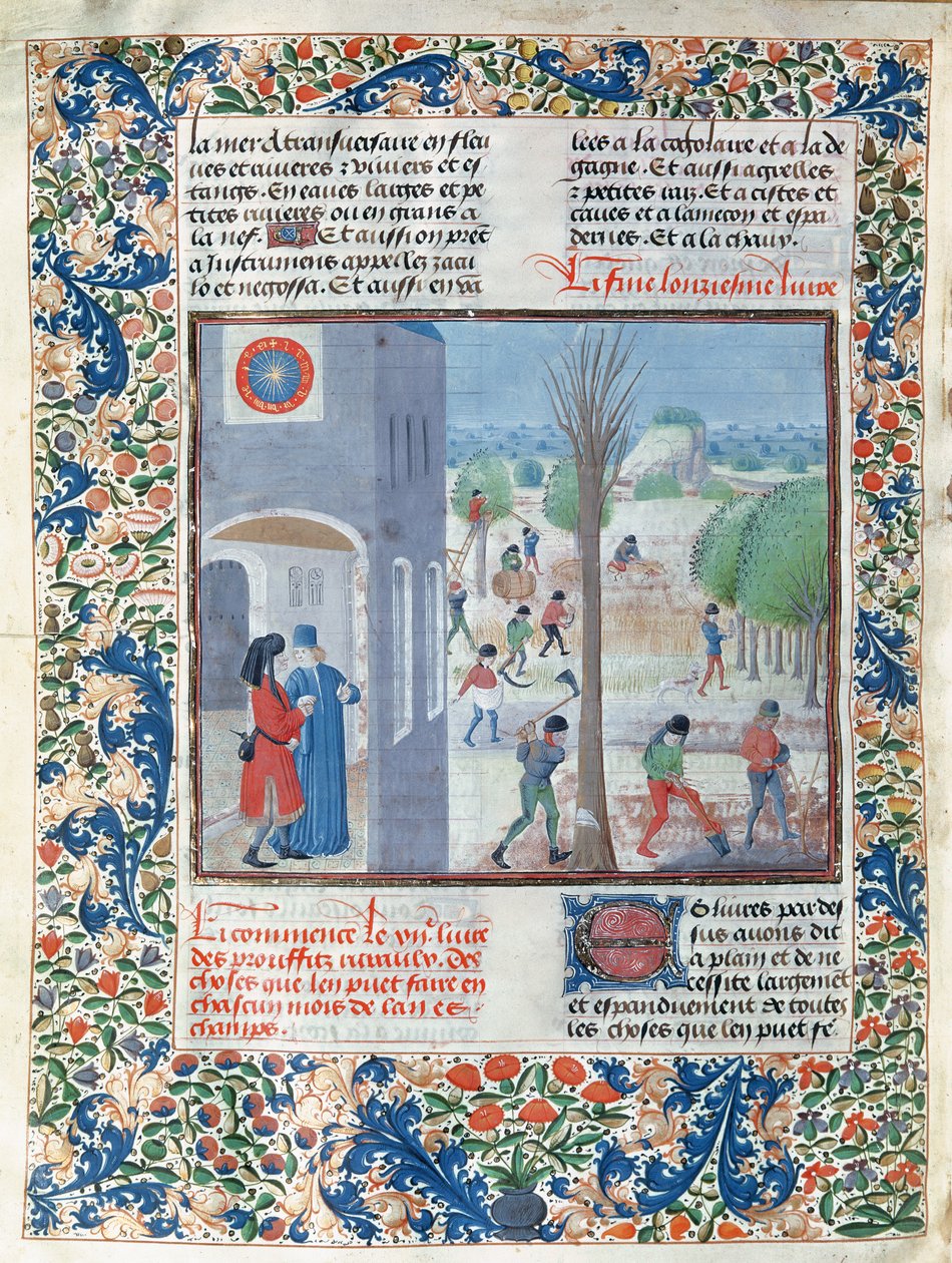 Bezigheden voor elke maand van het jaar, illustratie uit Le Livre des Prouffitz Champestres door French School