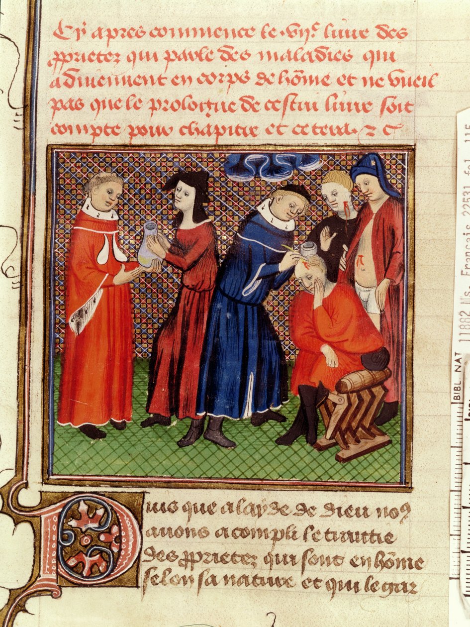 Het urineonderzoek en de genezing van wonden, uit Le Livre des Proprietes des Choses door Barthelemy l
