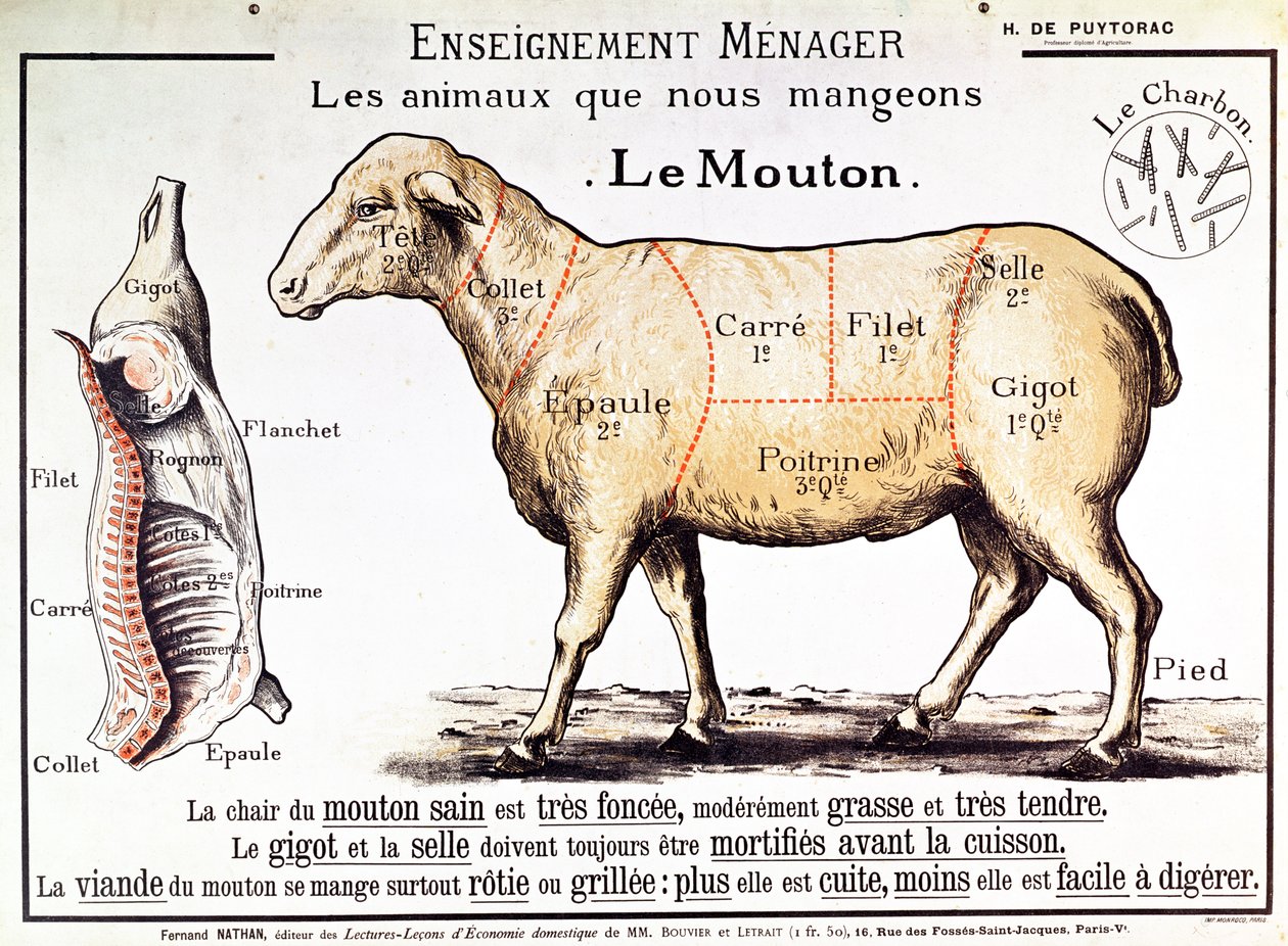 Schaap: diagram met de verschillende stukken vlees door French School