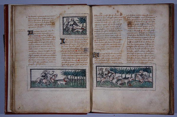 Pagina
