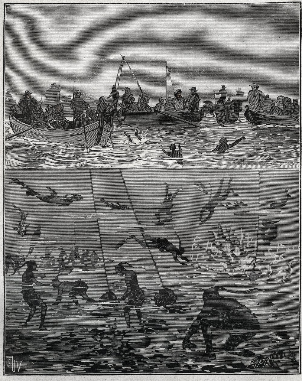 Parelvissers in Ceylon (het huidige Sri Lanka) in de 19e eeuw. Gravure uit 1885 in Les arts et métiers illustrés door Adolphe Bitard. door French School
