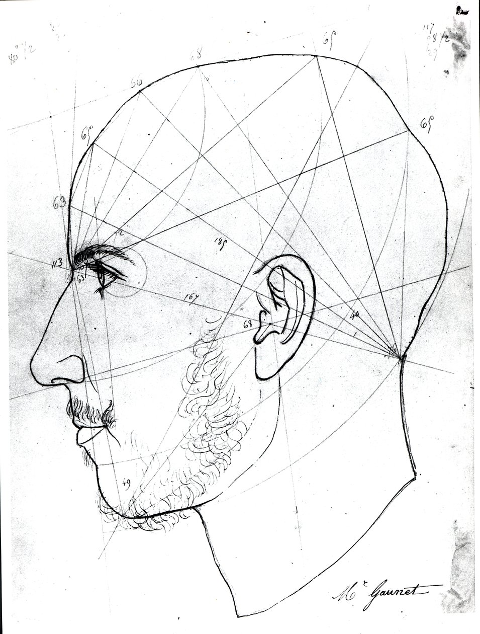 Frenologische studie, uit een manuscript van dokter Philippe Jean Pelletan (1747-1829) bibliotheek door French School