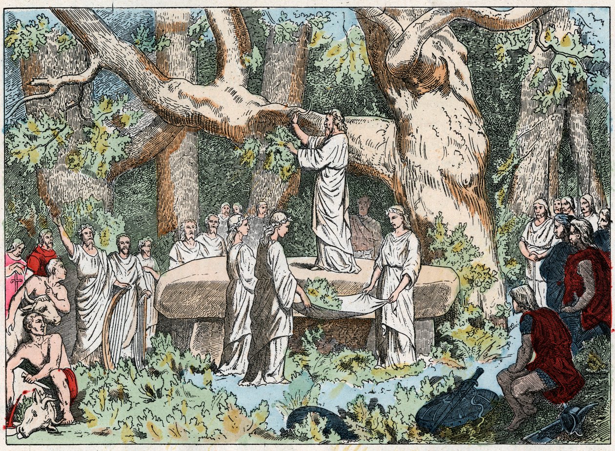 Maretakken plukken door de druïden in Gallië, eind 19e eeuw (gravure) door French School