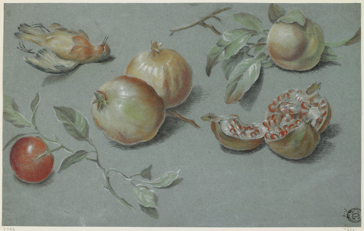 Granaatappels en dode vogel (begin 19e eeuw) door French School