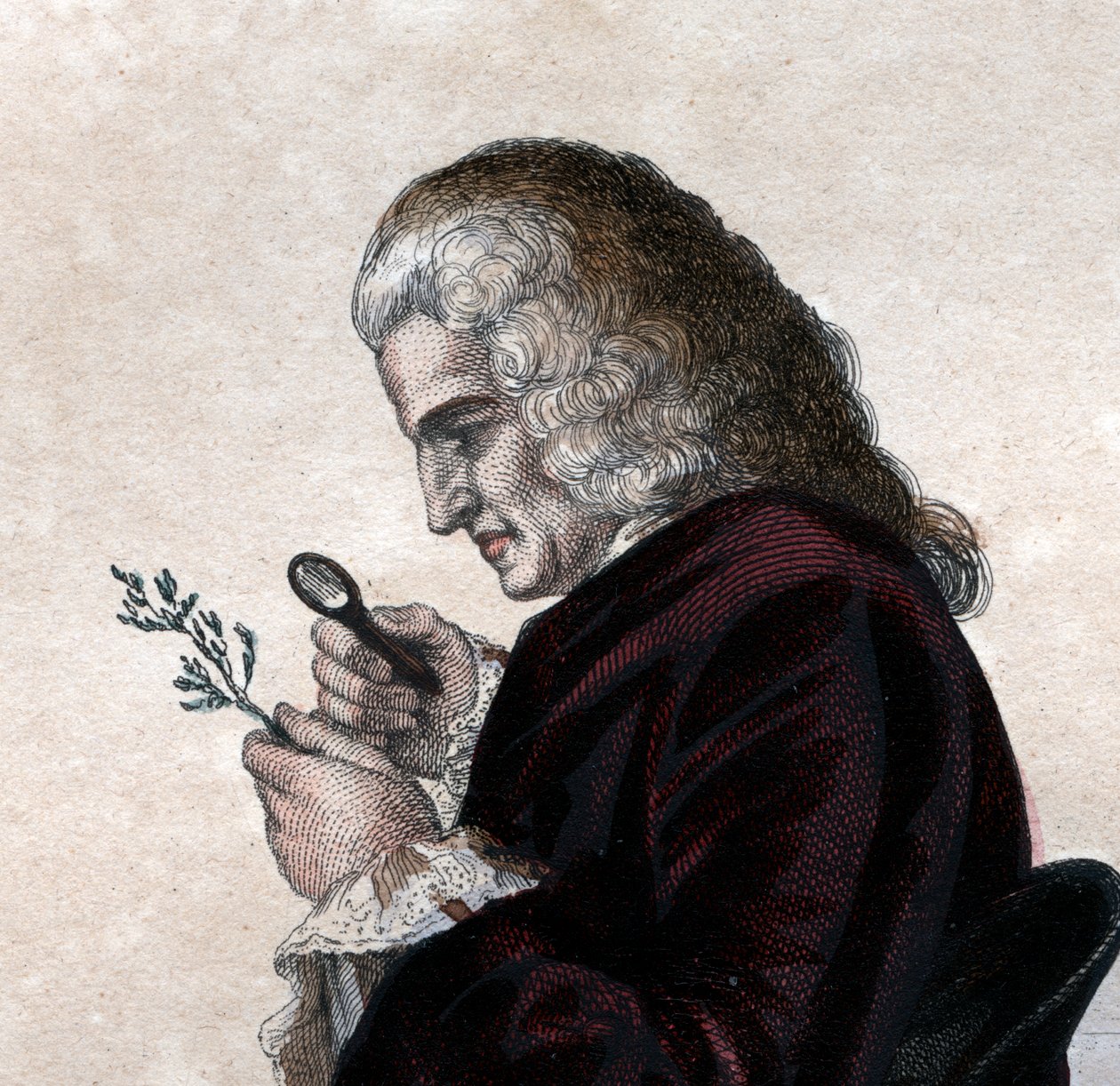 Portret van Bernard de Jussieu (1699-1777), Franse natuuronderzoeker. door French School