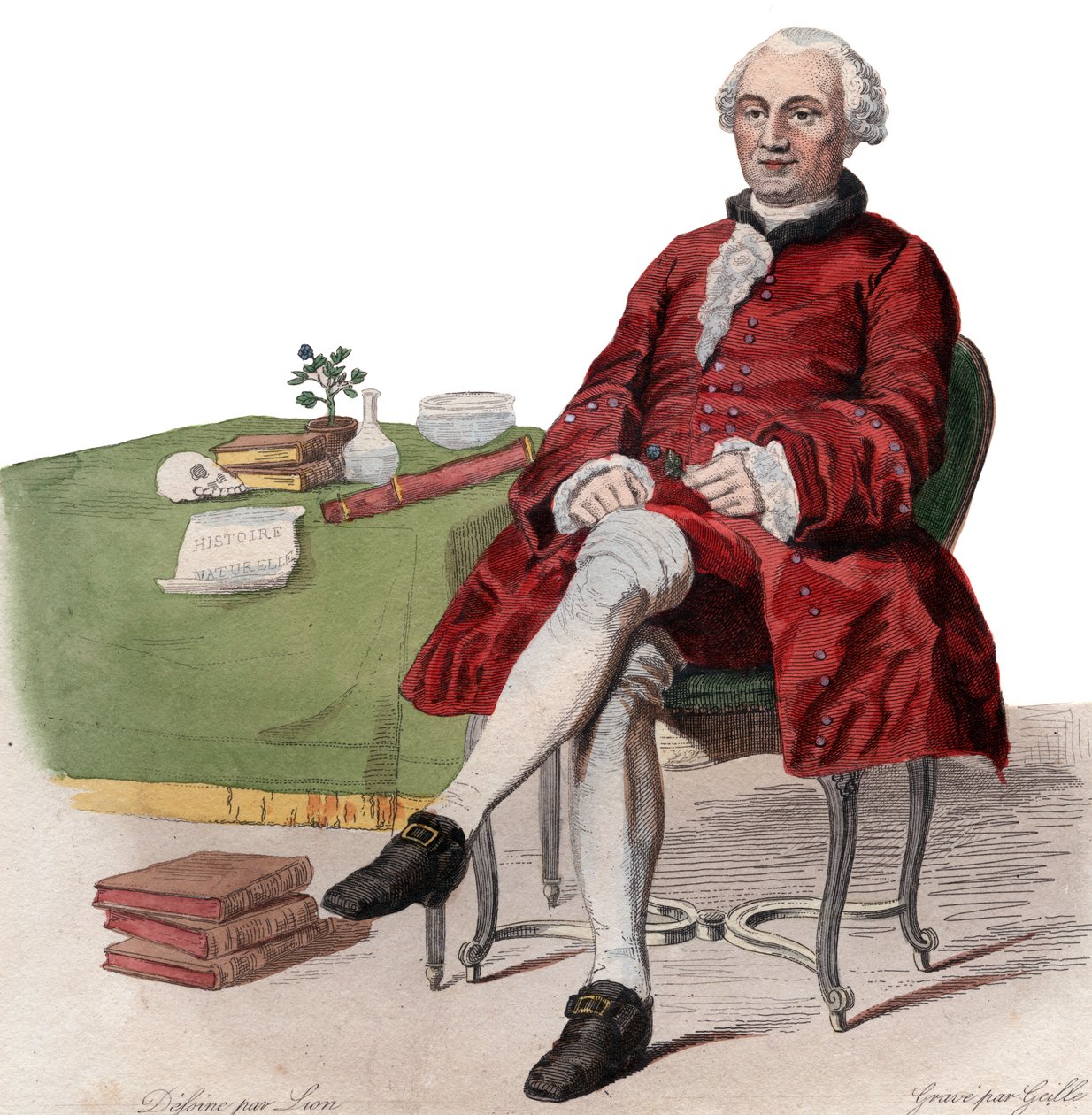 Portret van Georges Louis Leclerc, Graaf van Buffon (1707-1788), Franse natuuronderzoeker door French School