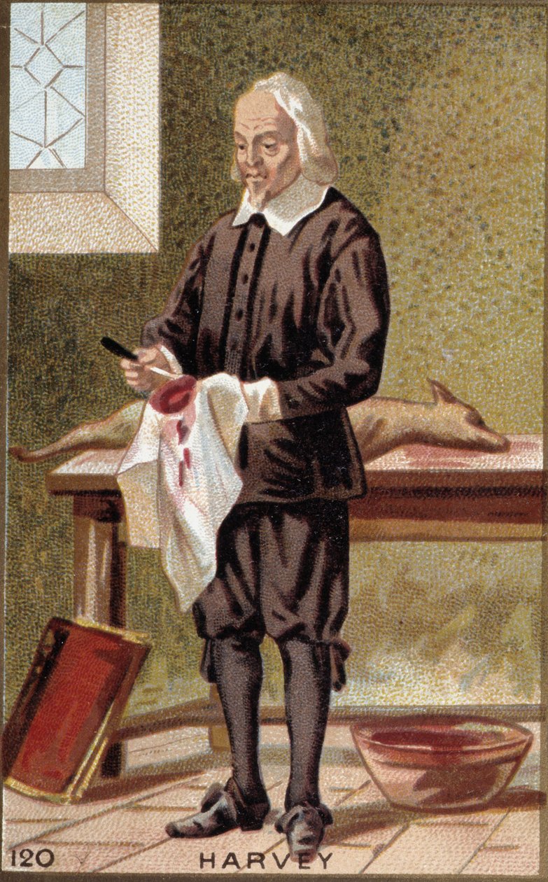 Portret van William Harvey (1578-1657), Engelse arts door French School