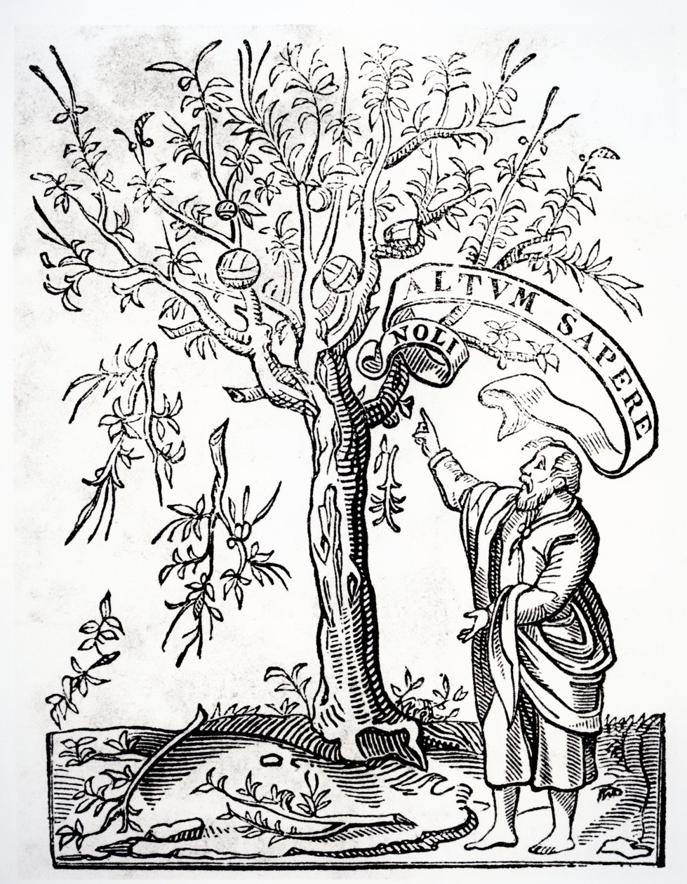 Drukkers embleem van Robert Estienne, Parijs, 1526 door French School