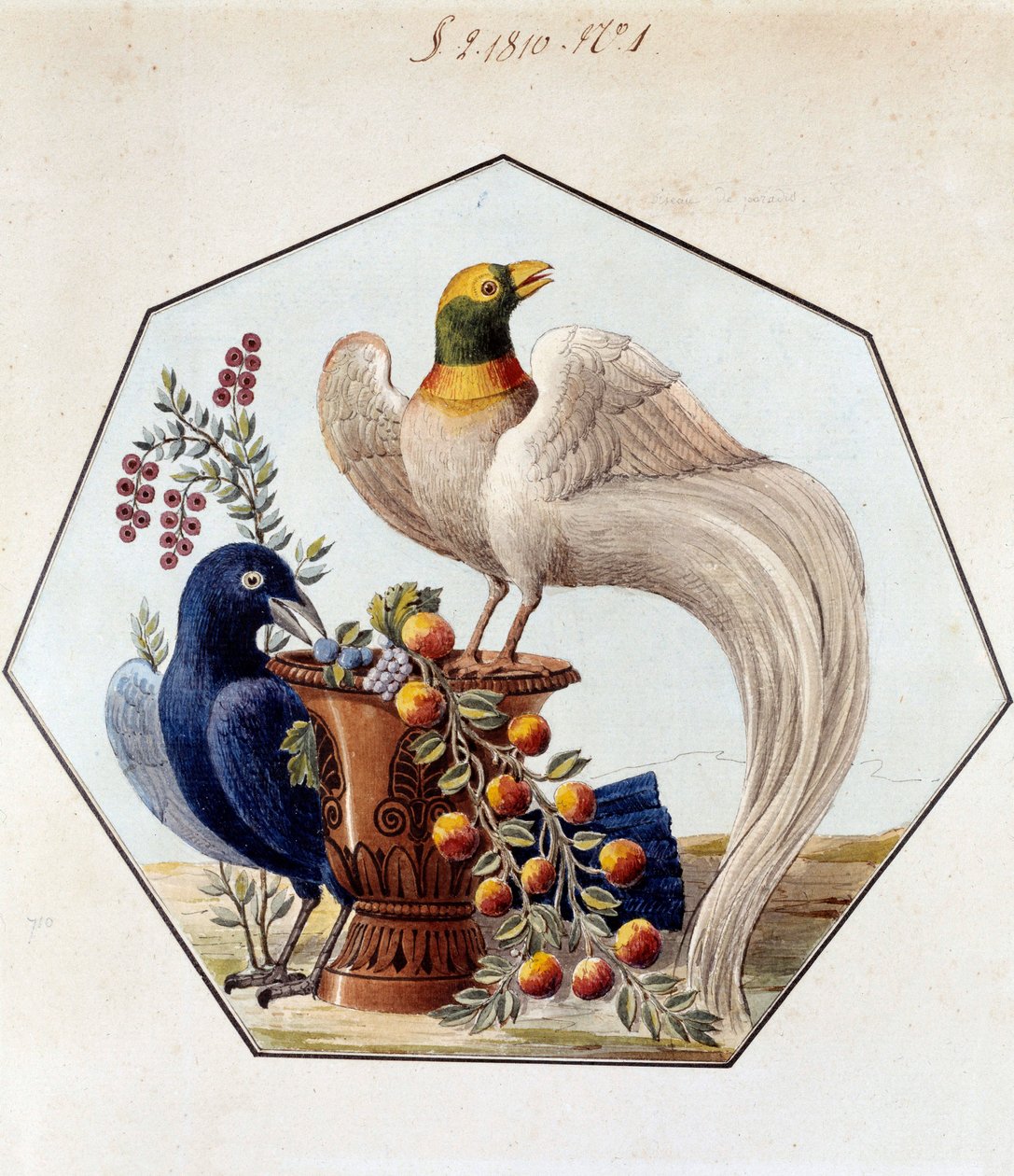 Project voor de tafel van vogels in porselein door Alexandre Brongniart (1770-1847). 1810 Sèvres, archieven van de Manufacture de Sèvres door French School