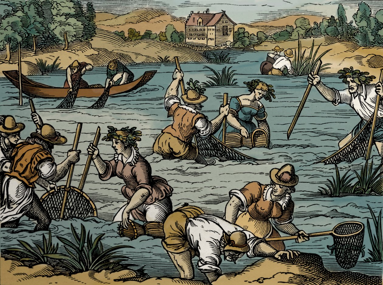 Rivieren Vissen, uit 1584 door French School