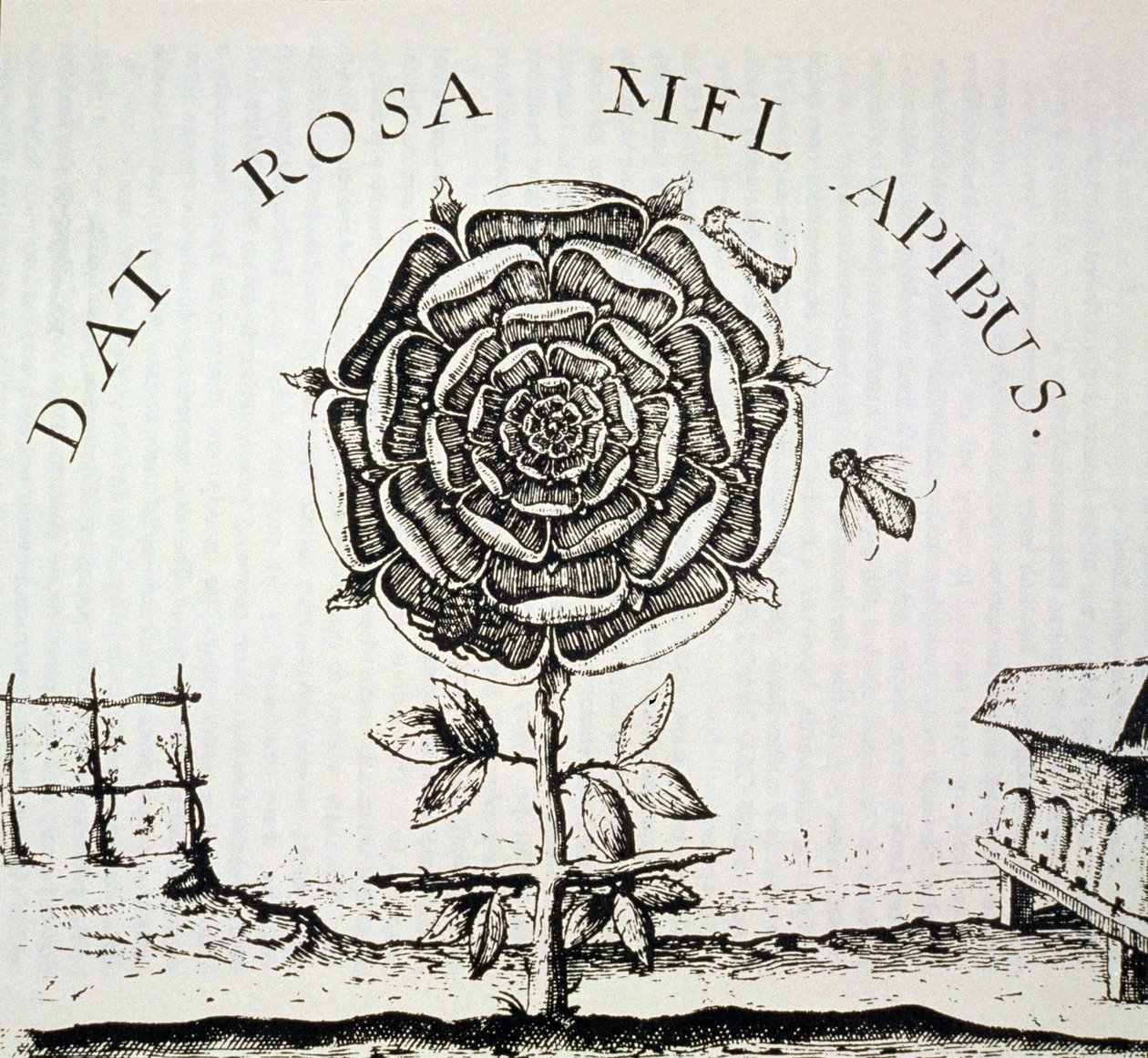 Rozenkruisers Allegorie, kopie van een gravure door Johann Theodore de Bry (c.1598), gebruikt in Geschiedenis van de Magie, gepubliceerd eind 19e eeuw door French School
