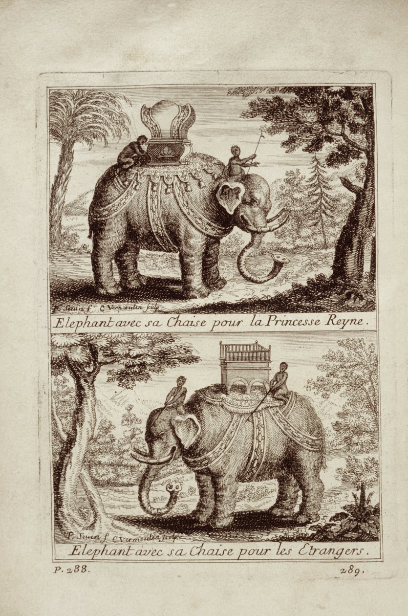 Koninklijke olifanten, uit Voyage du Siam des Peres Jesuites door Guy Tachard, 1688 door French School