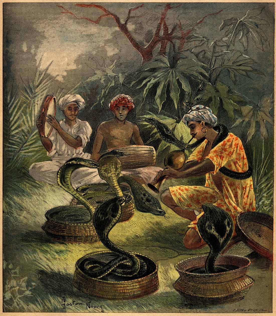 Slangenbezweerders (cobra