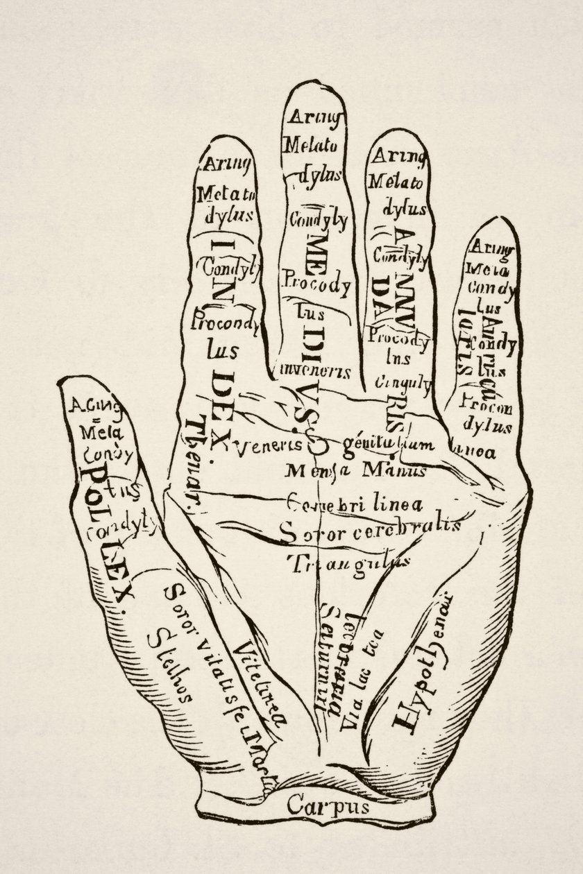 Voorbeeld van de linkerhand met de lijnen en hun horoscopische benamingen, uit Wetenschap en Literatuur in de Middeleeuwen door Paul Lacroix, uitgegeven in Londen 1878 door French School