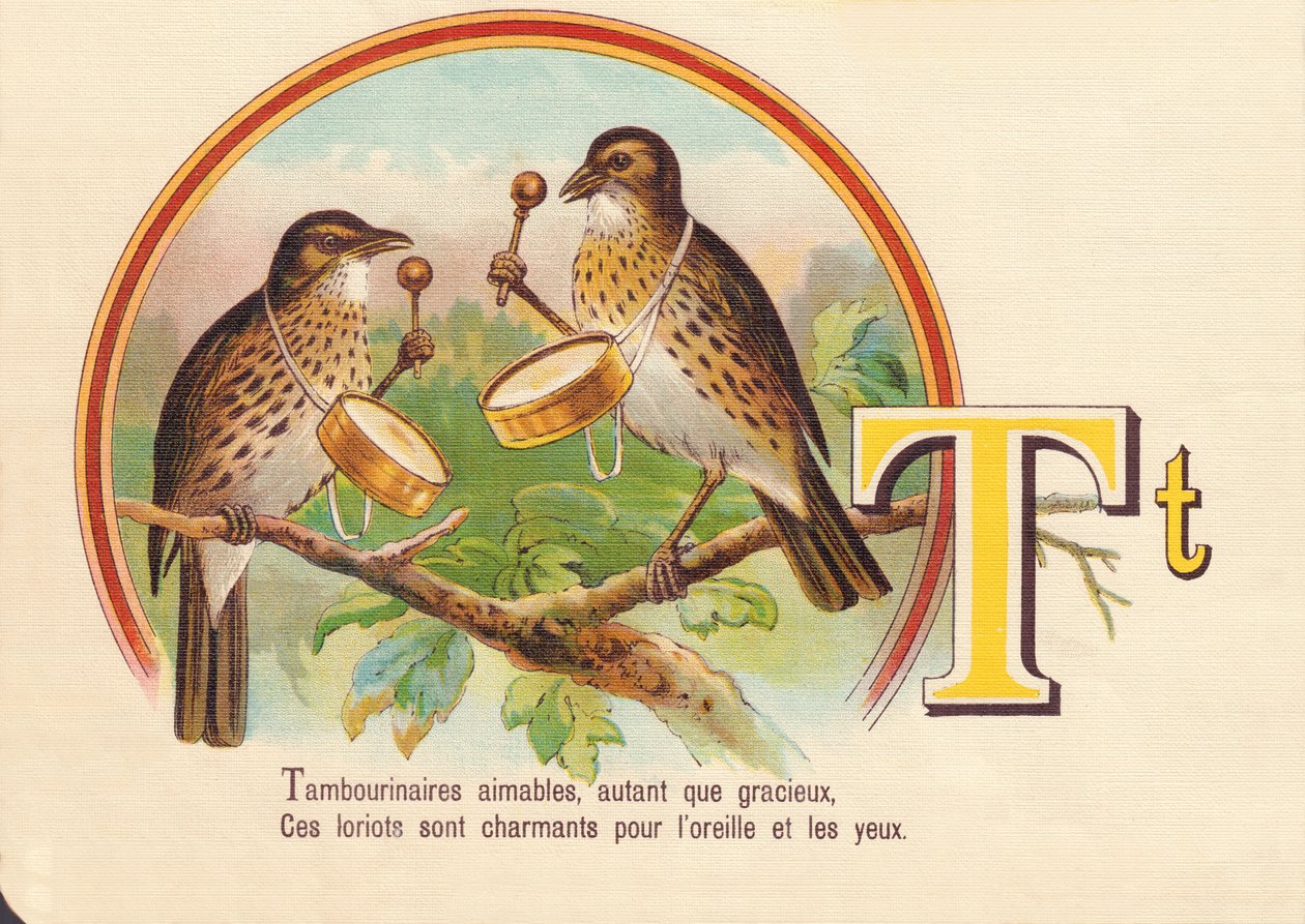 T: Tambourinspelers vriendelijk, net zo gracieus, Deze loriots zijn charmant voor oor en oog door French School