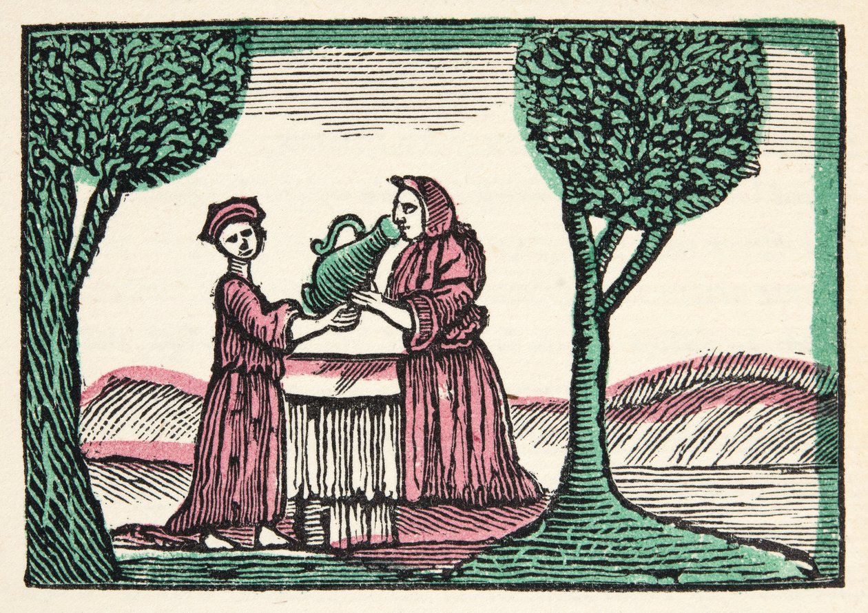 De fee uit Histories or Tales of Past Times verteld door Moeder de Gans, met moraal, door M Perrault, pub. 1925 (handgekleurde houtsnede) door French School