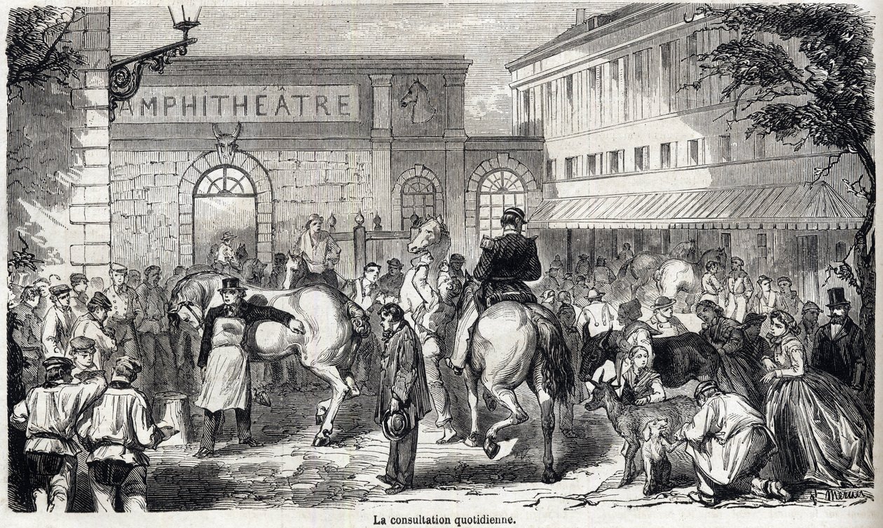 De Nationale Veterinaire School van Alfort - Les grandes écoles de France - école vétérinaire de maison alfort in 1866 - De dagelijkse consultatie - Gravure in Le monde illustré van 1866 door French School
