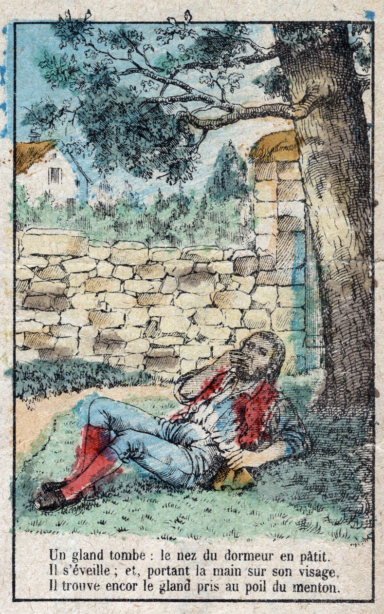 De eikel en de pompoen. Fabels van Jean de La Fontaine (1621-95). Epinal imaging eind 19e eeuw. door French School