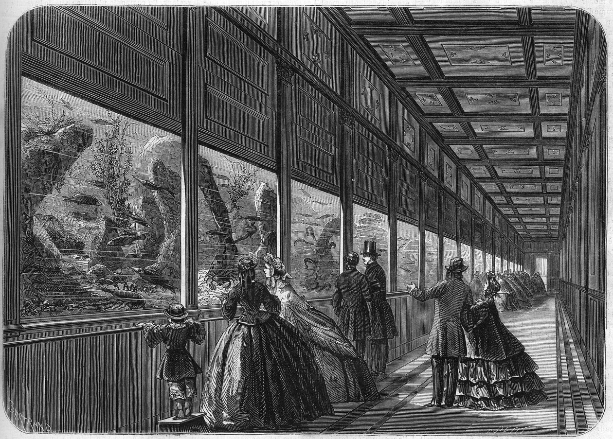 Het aquarium van de Parijse acclimatisatietuin in 1863 door French School