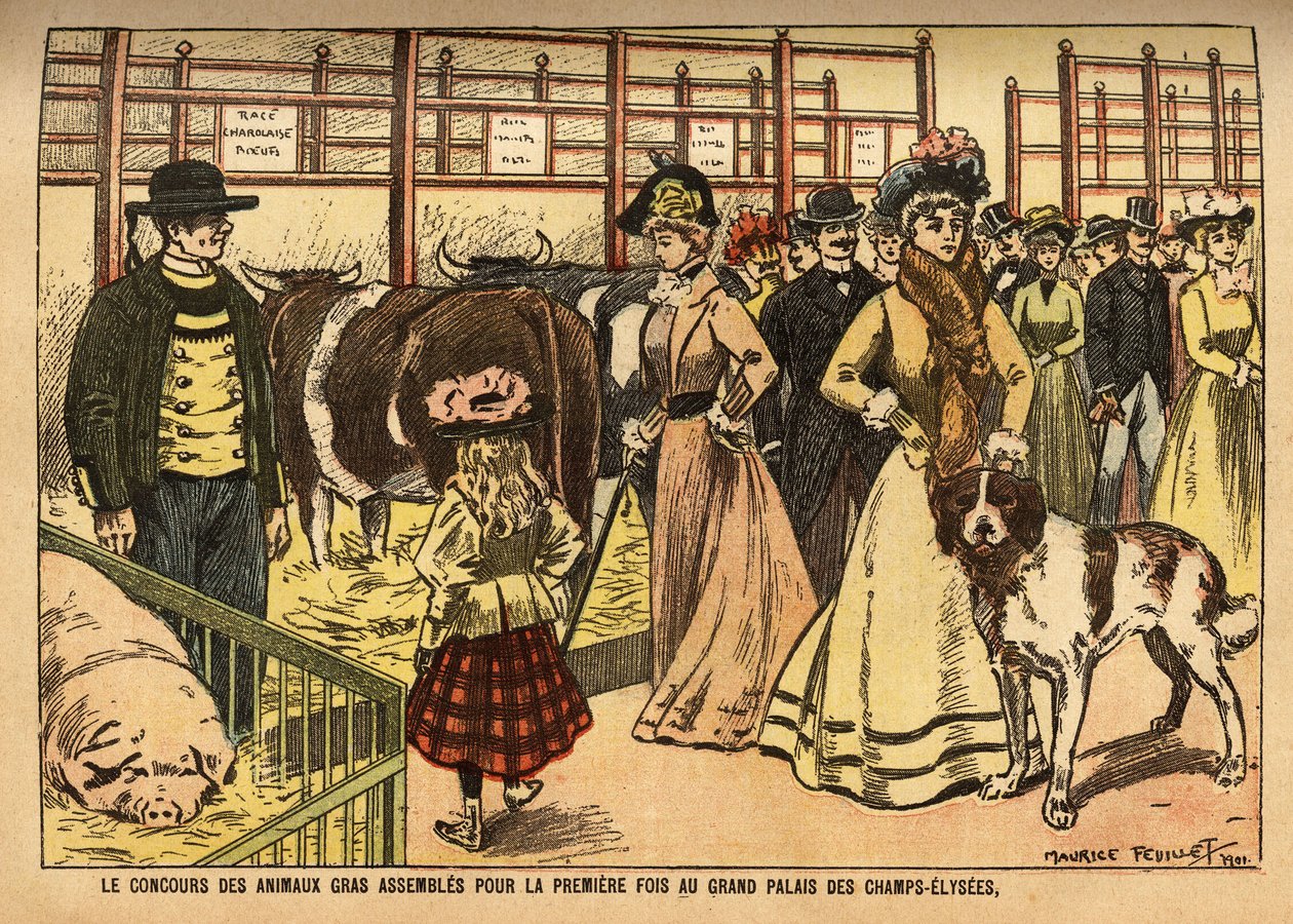 De wedstrijd van vette dieren van de runderen, schapen, varkens en andere families, verzamelt en toont voor de eerste keer, in de grote zaal van het Grand Palais des Champs Elysees; deze tentoonstelling presenteert op hetzelfde moment culinaire specialitei door French School