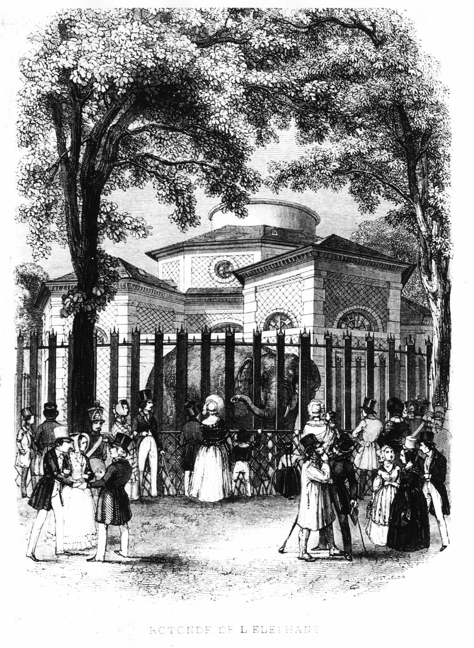 De olifantenrotonde van de plantentuin in Parijs - gravure door French School