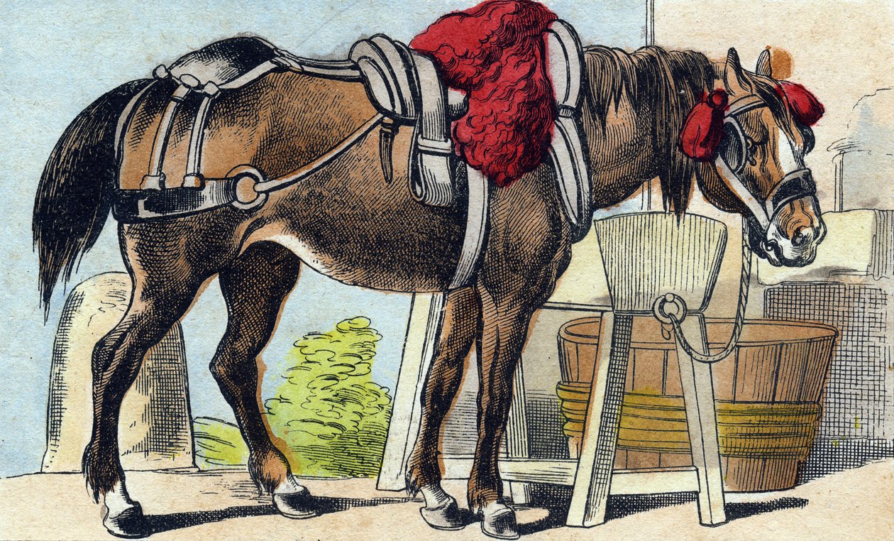 Het paard. Gravure in "Buffon Alphabet des Animaux". 3e Serie N 1. Imaging of Epinal, Epinal, eind 19e eeuw. 16 pagina
