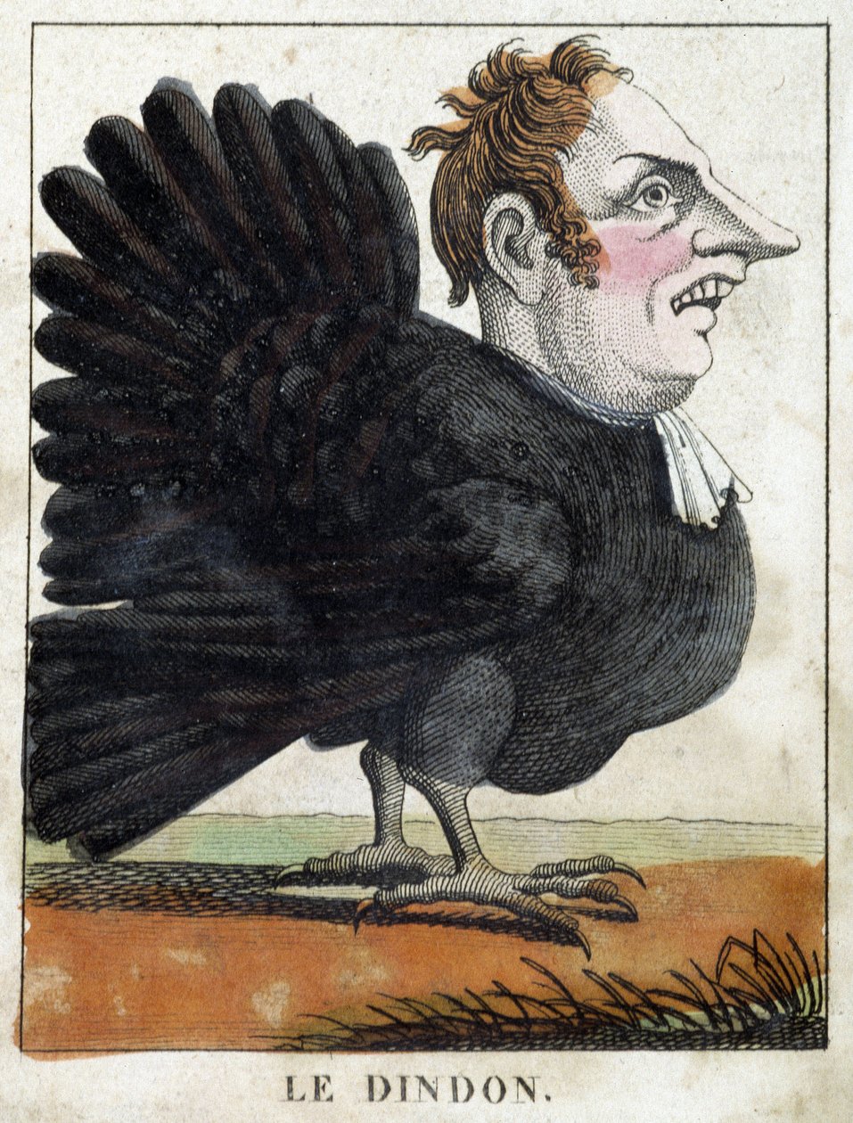 De kalkoen in karikatuur, studie van karakter 