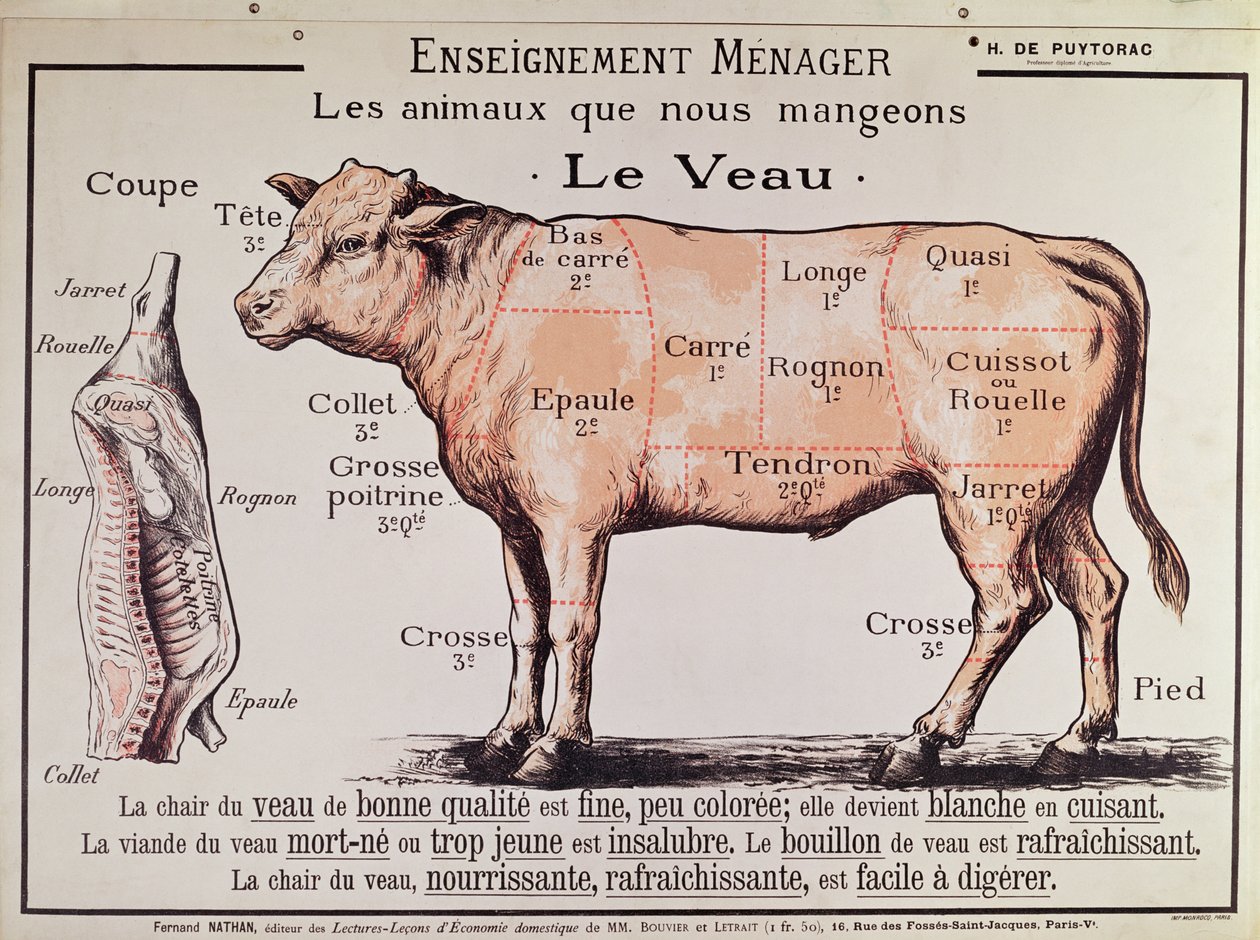 Kalfsvlees: diagram met de verschillende stukken vlees door French School
