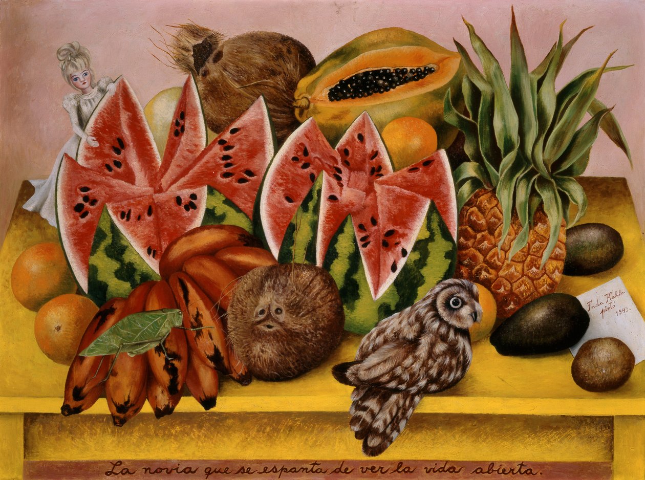 De bruid geschrokken bij het zien van het geopende leven door Frida Kahlo