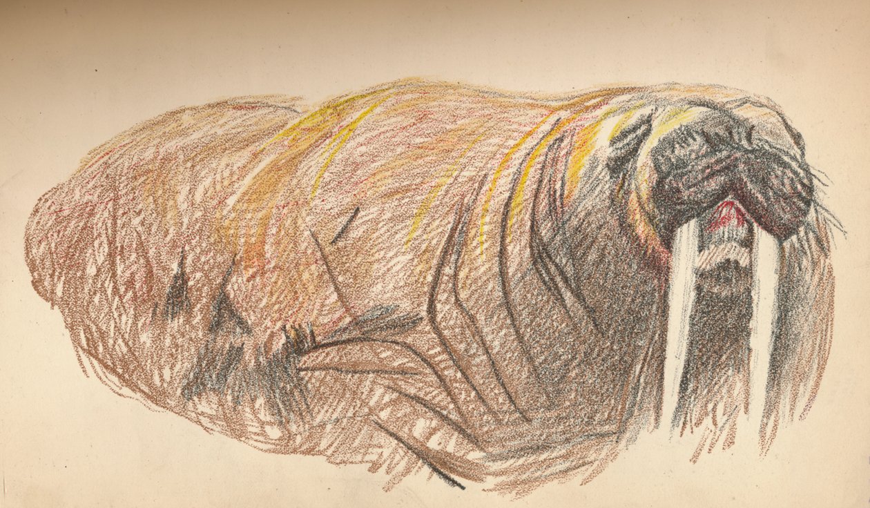Slaperig en chagrijnig, 12 september 1893. Pastelschets, 1893, 1897 door Fridtjof Nansen