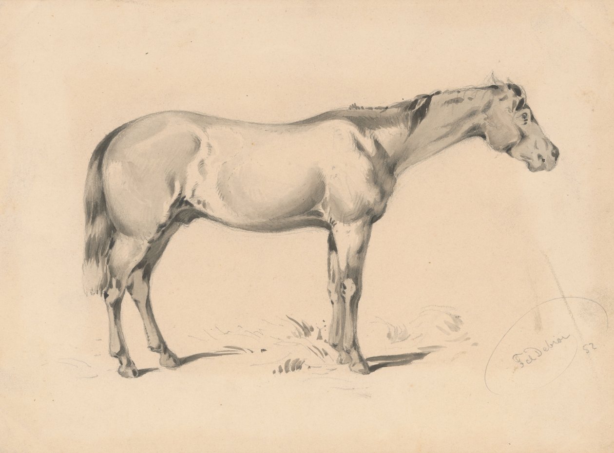 Studie van een paard I door Friedrich Carl von Scheidlin