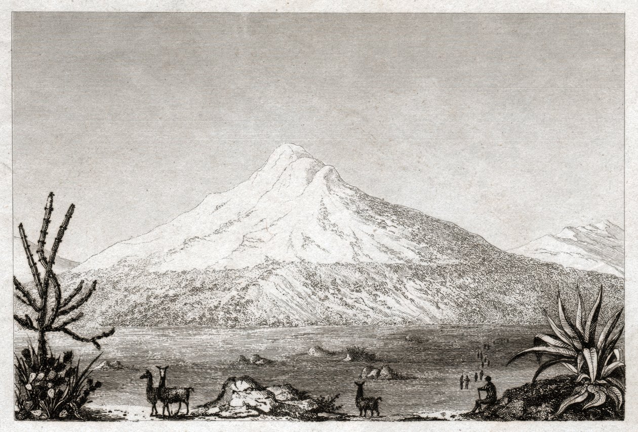 Chimborazo vulkaan door Friedrich Alexander Baron von (after) Humboldt