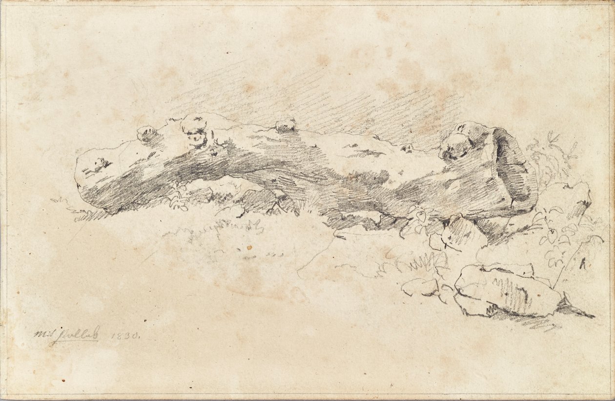 Liggende holle boomstam door Friedrich August Mathias Gauermann