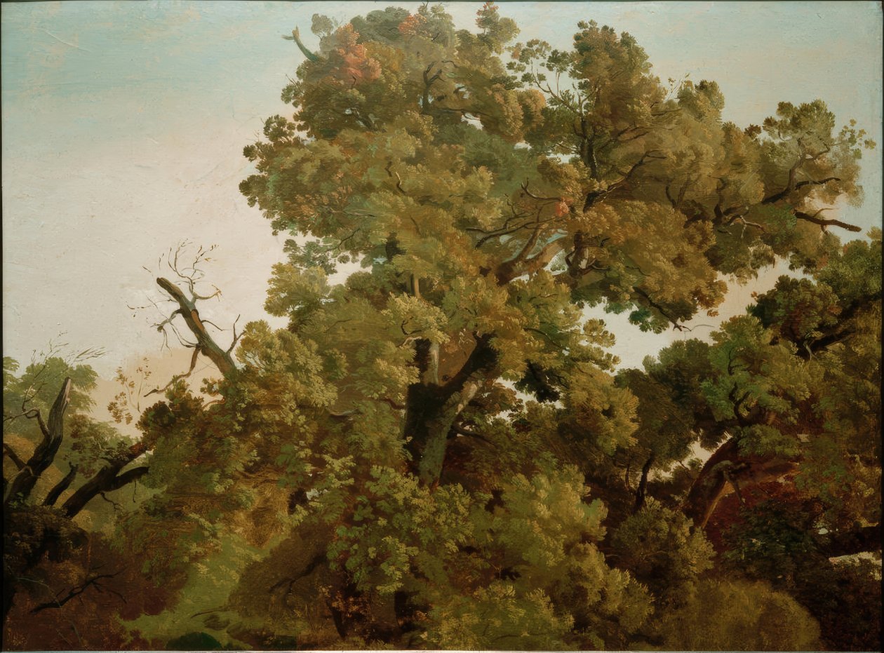 Eik door Friedrich Nerly