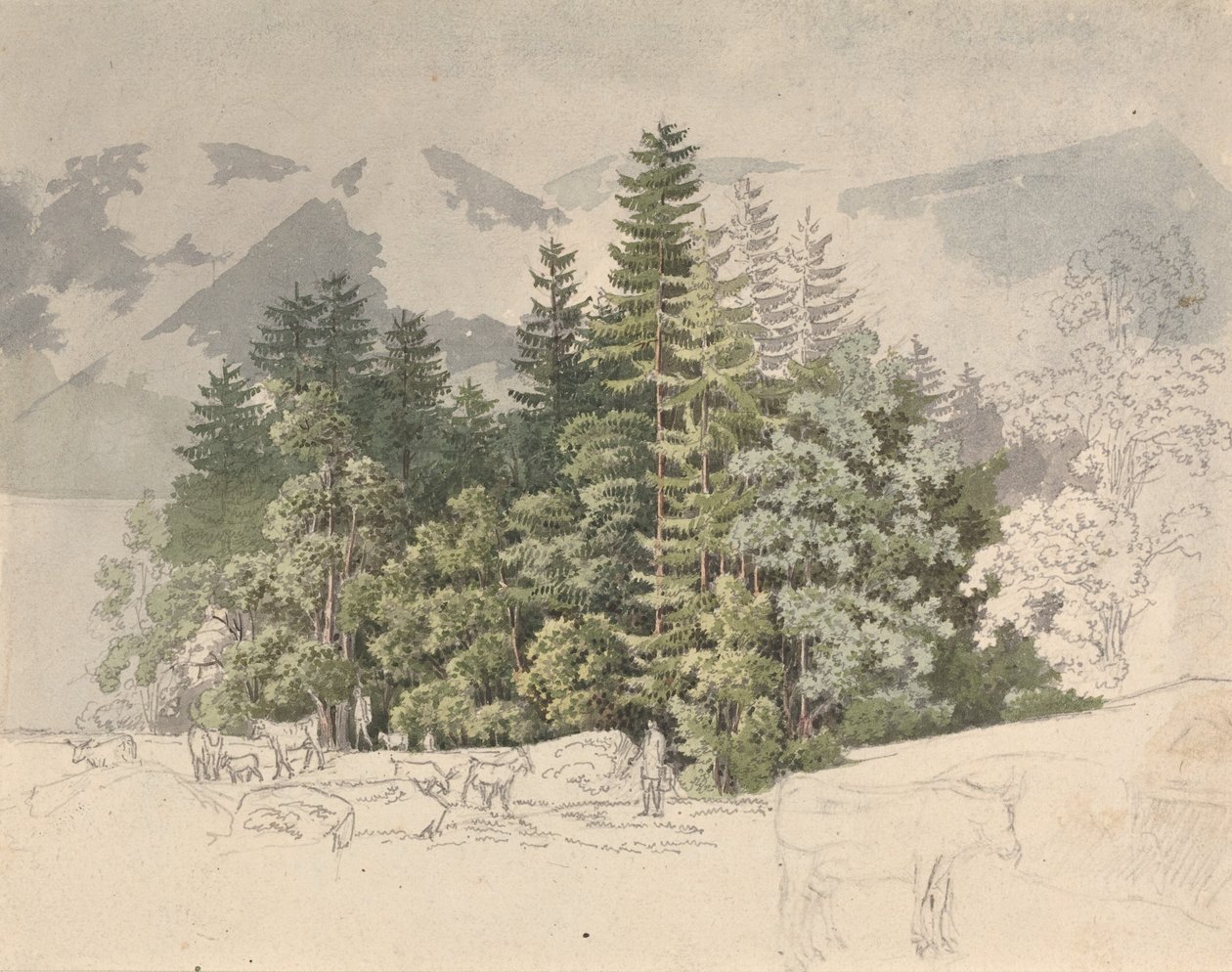 Alpenlandschap (gouache over grafiet) door Friedrich Salathe