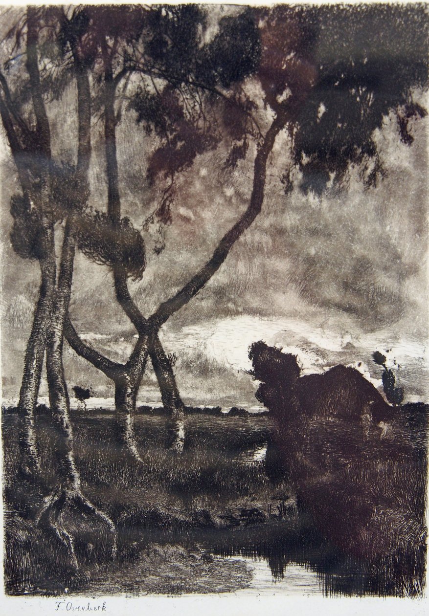 Storm in het moeras door Fritz Overbeck