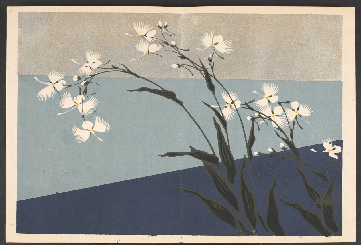 Shasei sôka môyô, Patronen van planten en bloemen uit het leven door Furuya Korin