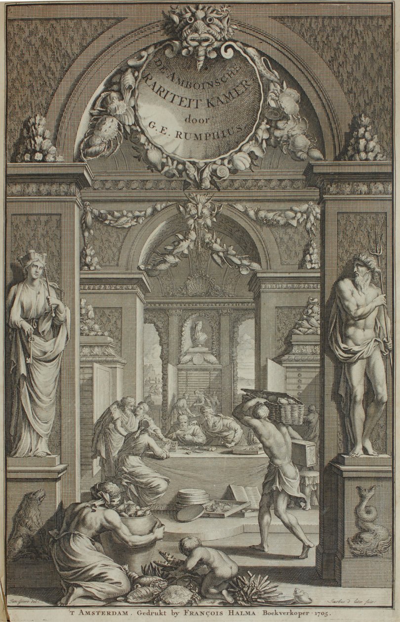 G. E. Rumphius, Amboinische Rariteikammer, Amsterdam 1705 door G. E. Rumphius
