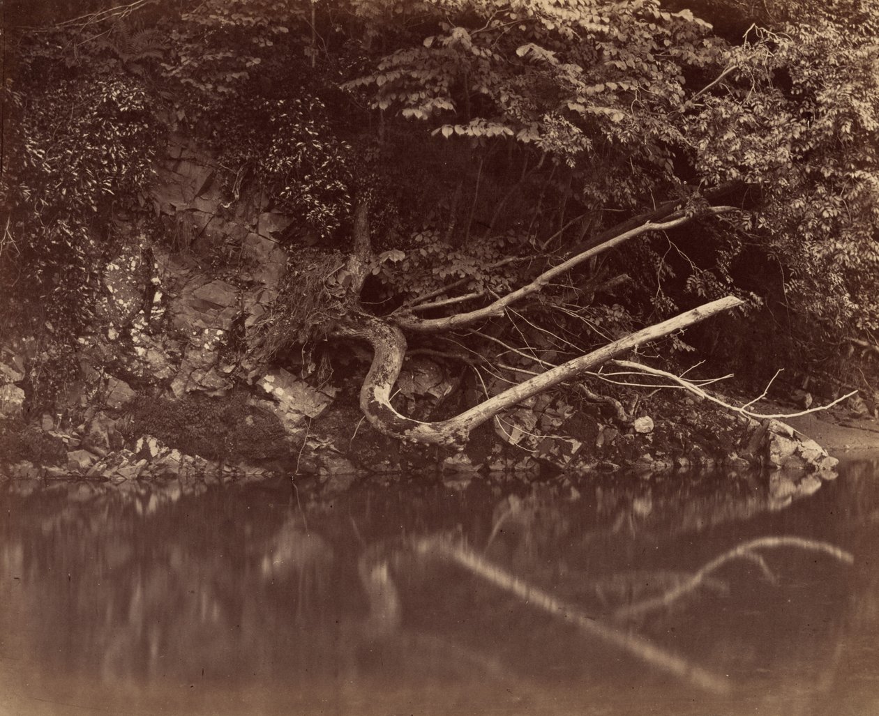 Oever van de rivier in de Vale of Neath, ca. 1855 door G. B. Gething