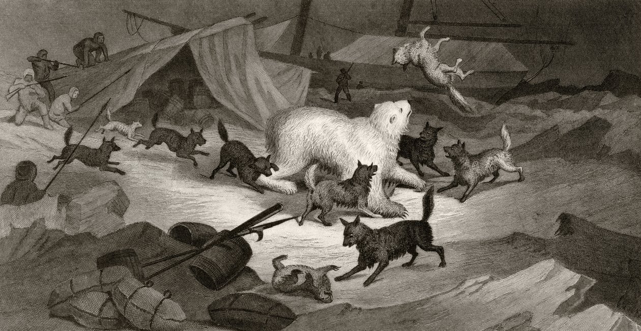 Berenjacht, gegraveerd door J.C. McRea, uit 