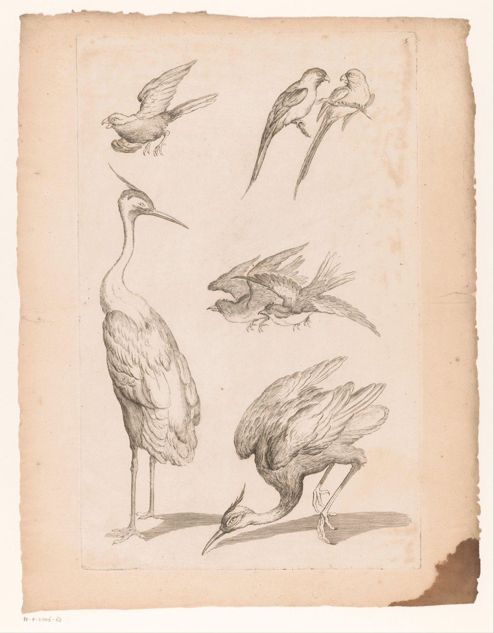 Zeven Chinese vogels, waaronder reigers en papegaaiachtigen door Gabriel Huquier (attributed to)